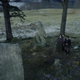 Wintry and desolate, just like my heart.